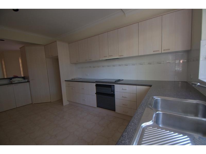 5 Bon Accord Ave, Bondi Junction NSW 2022