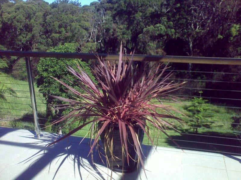 Avoca Beach NSW 2251