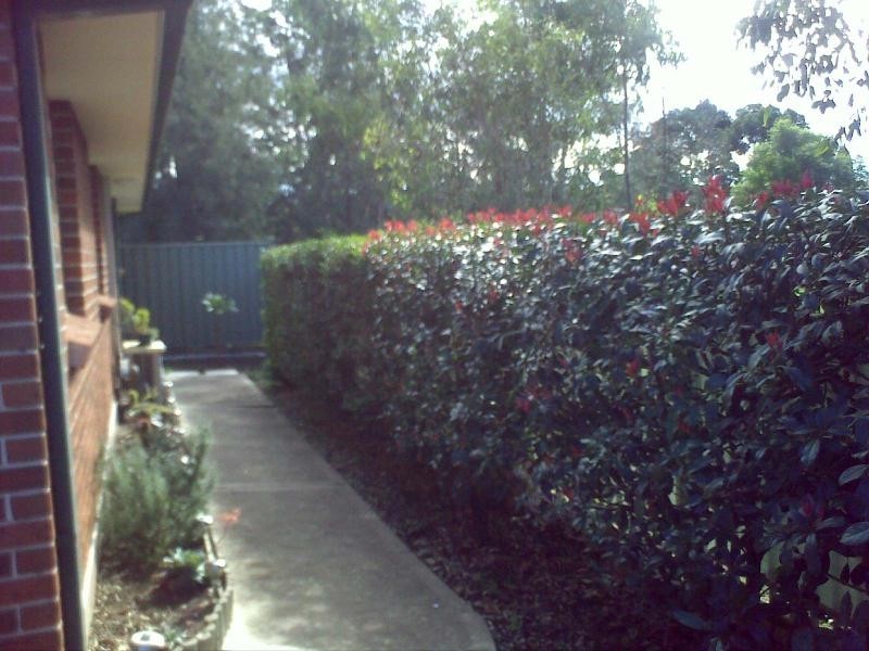 33/1-B DERBY St, Kingswood NSW 2747