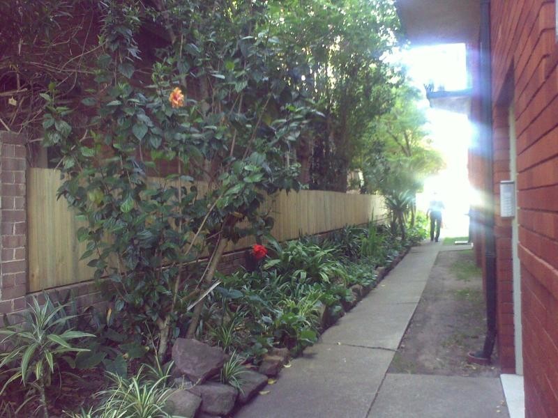 2/74 Alt St, Ashfield NSW 2131