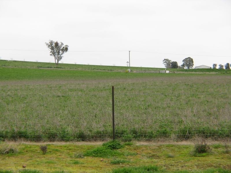 61 Vista Lane, Canowindra NSW 2804