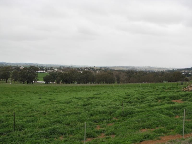 61 Vista Lane, Canowindra NSW 2804