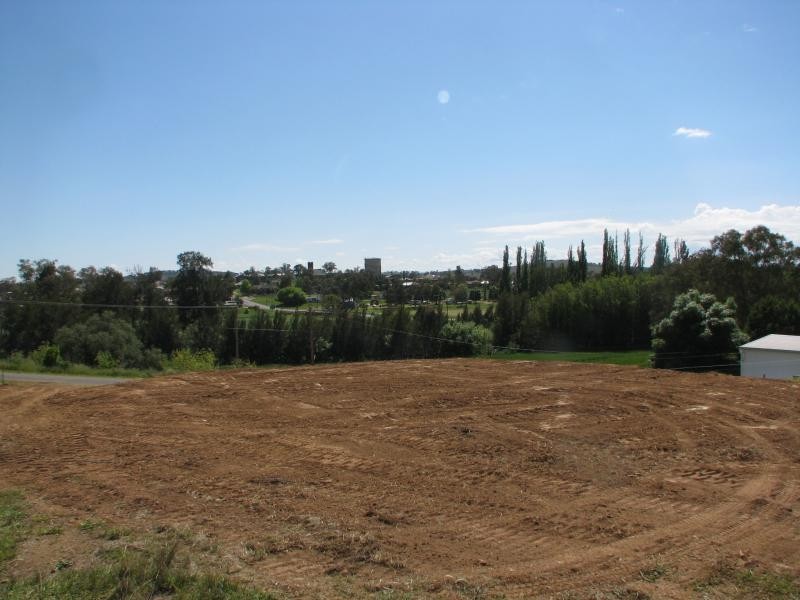 20 Canowindra St, Canowindra NSW 2804