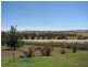 5013 Cargo Rd, Canowindra NSW 2804