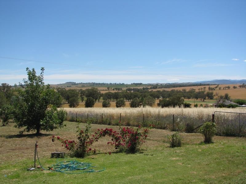 5013 Cargo Rd, Canowindra NSW 2804