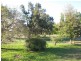 Canowindra NSW 2804