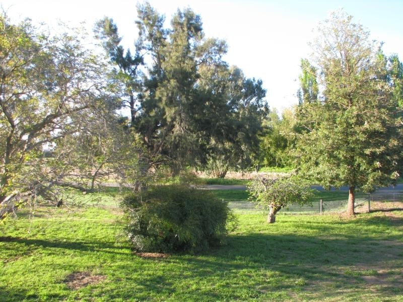 Canowindra NSW 2804