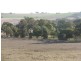 Canowindra NSW 2804