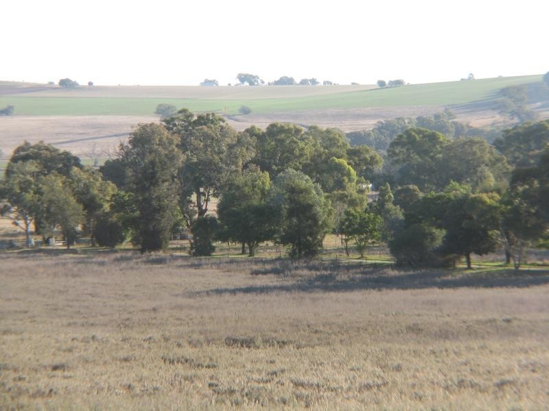 Canowindra NSW 2804