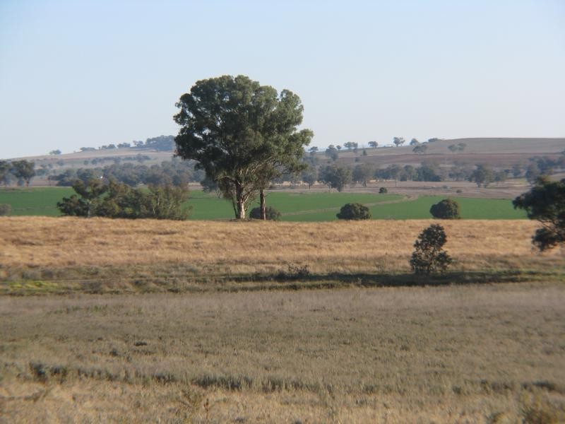 Canowindra NSW 2804