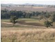 Canowindra NSW 2804