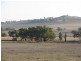 Canowindra NSW 2804