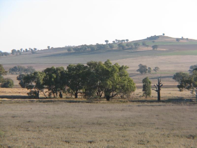 Canowindra NSW 2804