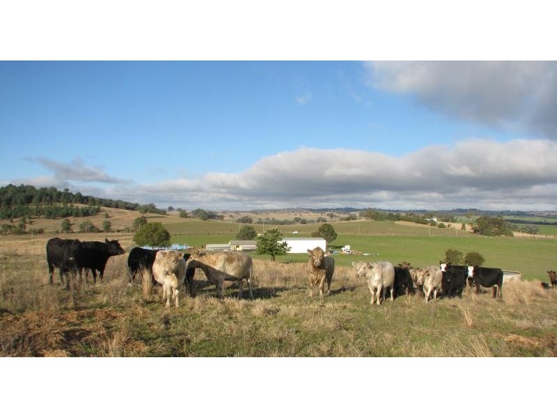 Canowindra NSW 2804
