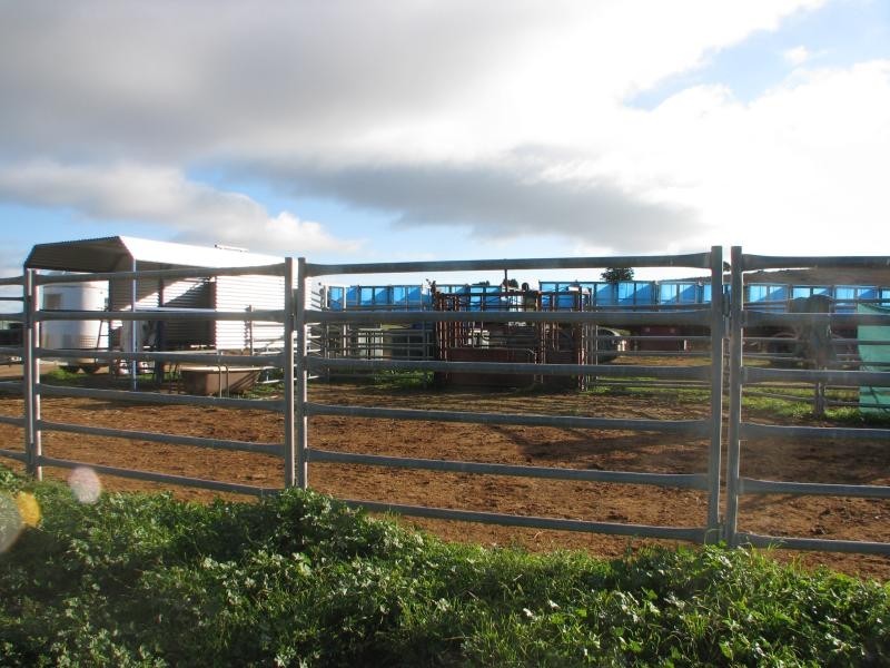 Canowindra NSW 2804