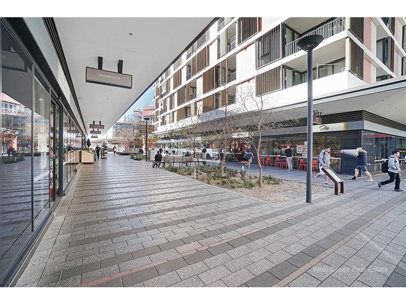 1209/1 Brodie Spark Dr, Wolli Creek NSW 2205