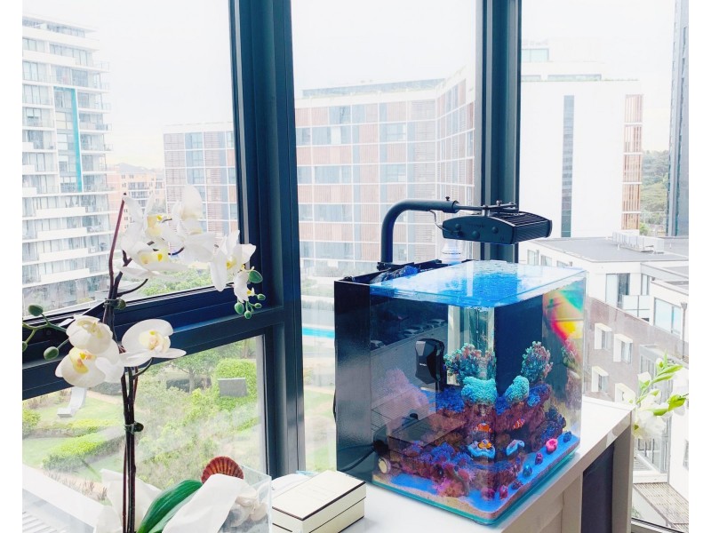 A701/35 Arncliffe Street, Wolli Creek NSW 2205