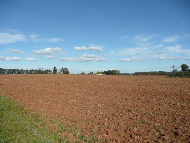 Orange NSW 2800