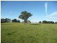 Orange NSW 2800