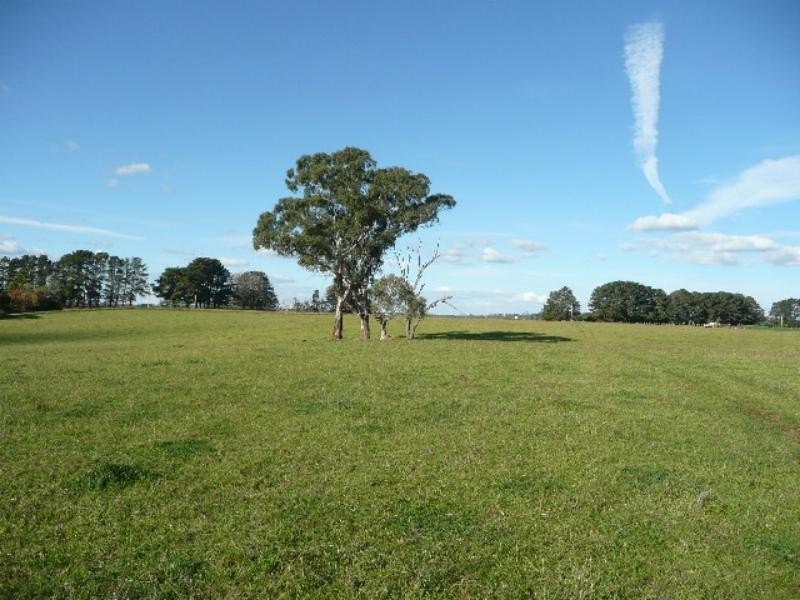 Orange NSW 2800