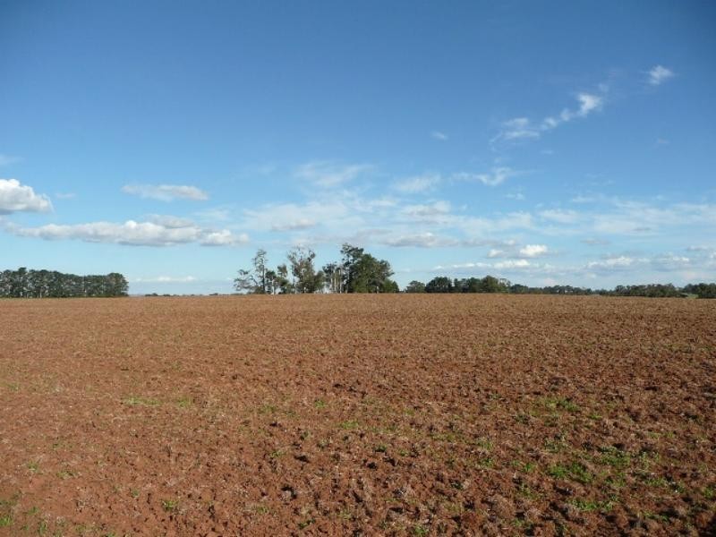 Orange NSW 2800