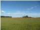 Orange NSW 2800