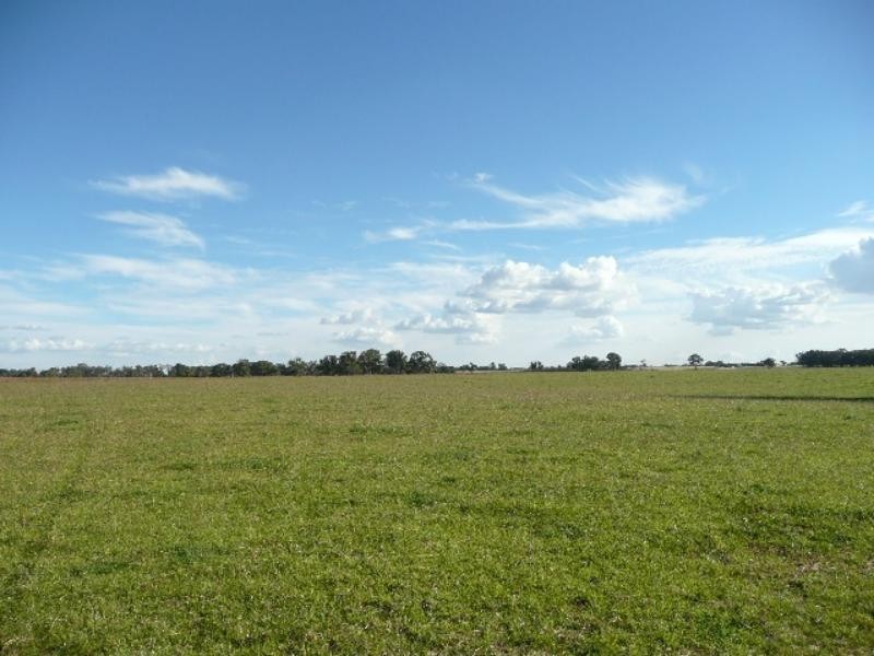 Orange NSW 2800