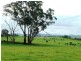 Orange NSW 2800