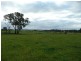 Orange NSW 2800