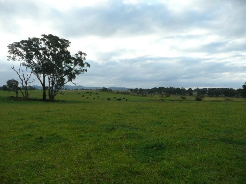 Orange NSW 2800