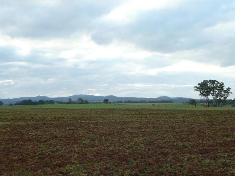 Orange NSW 2800