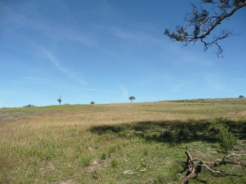 Mullion Creek NSW 2800
