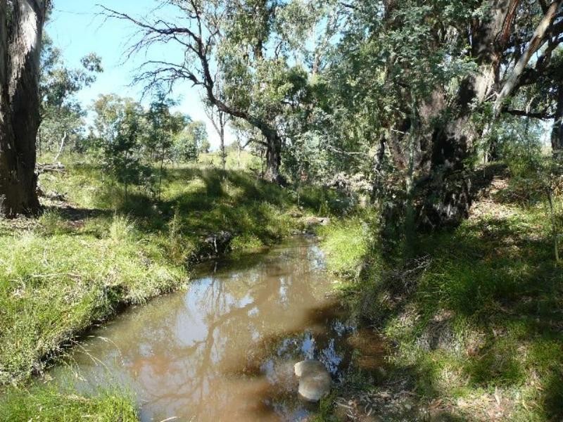 Mullion Creek NSW 2800