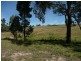 Mullion Creek NSW 2800