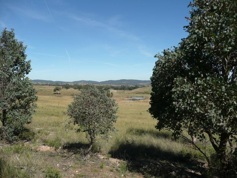 Mullion Creek NSW 2800