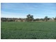 Manildra NSW 2865