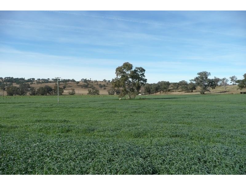 Manildra NSW 2865