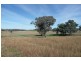 Manildra NSW 2865