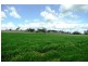 Molong NSW 2866