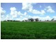 Molong NSW 2866