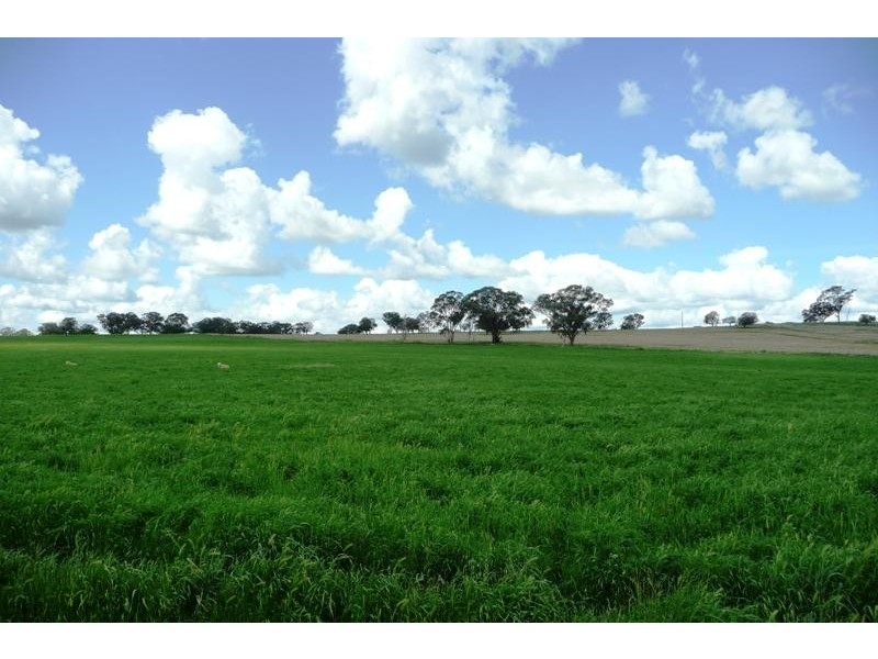 Molong NSW 2866