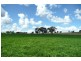 Molong NSW 2866