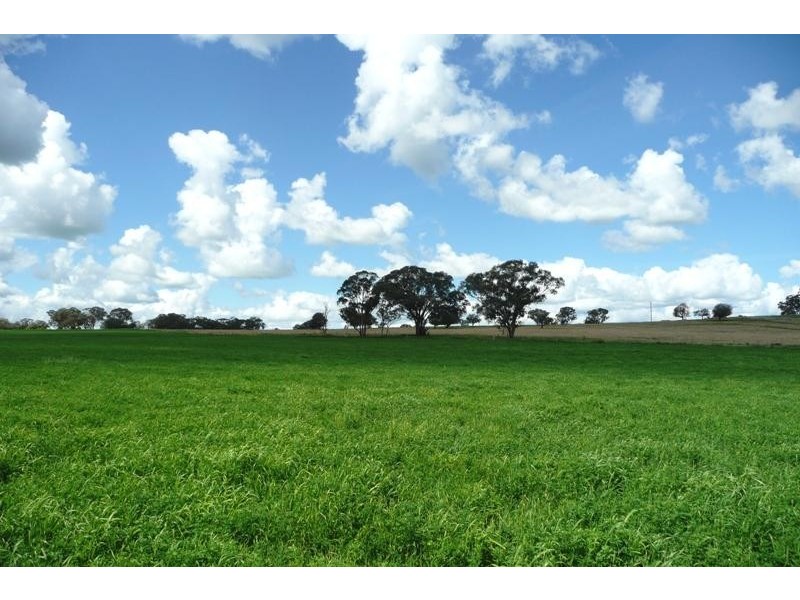 Molong NSW 2866