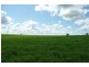 Molong NSW 2866