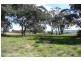 Orange NSW 2800