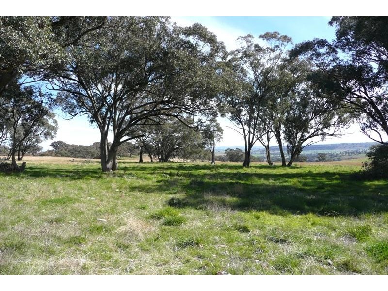 Orange NSW 2800