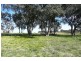 Orange NSW 2800