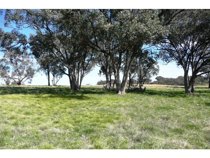Orange NSW 2800