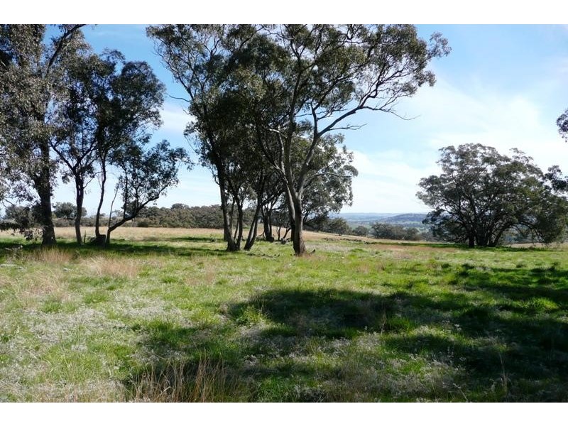 Orange NSW 2800