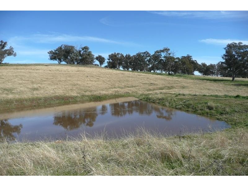 Orange NSW 2800
